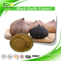 Best Price Black Garlic Extract,Black Garlic Powder